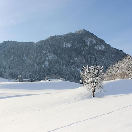 Ferienhaus Weber-Haeusl Reith im Alpbachtal Kültér fotó