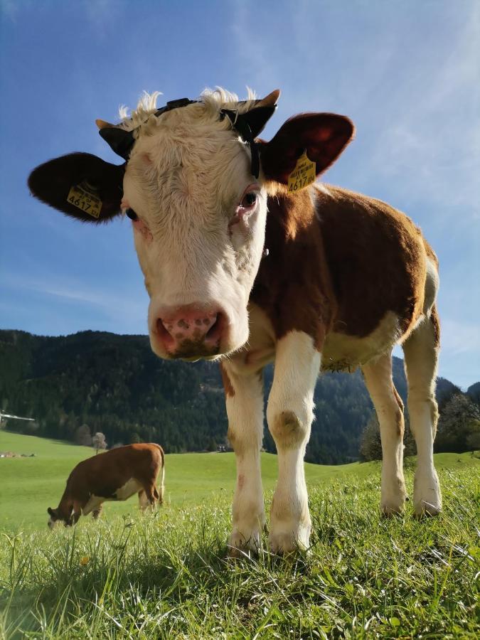 Ferienhaus Weber-Haeusl Reith im Alpbachtal Kültér fotó
