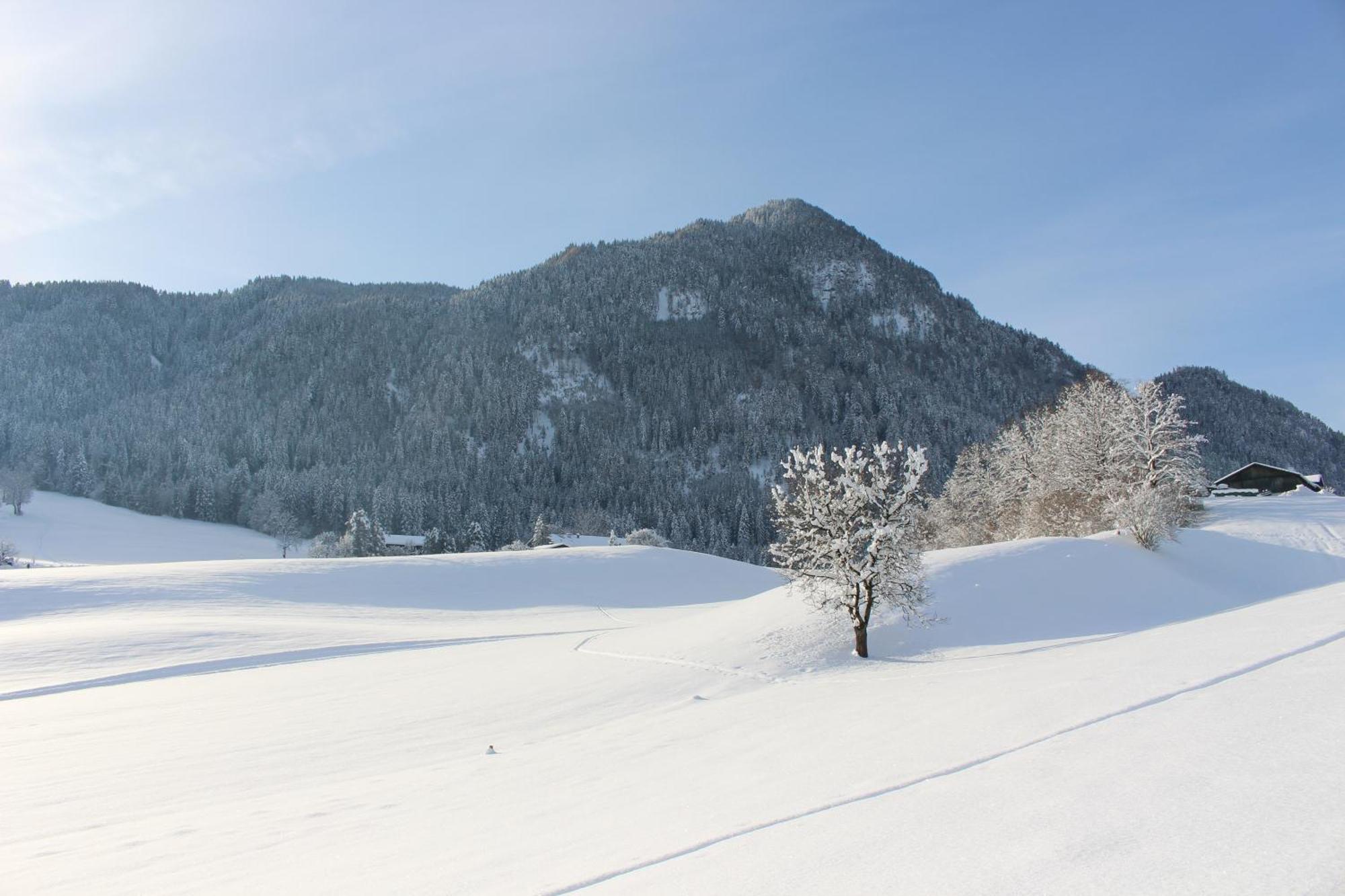 Ferienhaus Weber-Haeusl Reith im Alpbachtal Kültér fotó
